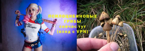 ALPHA-PVP Корсаков