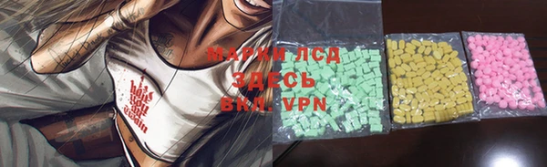стаф Коряжма