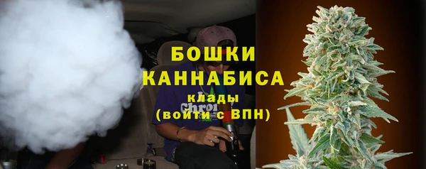стаф Коряжма
