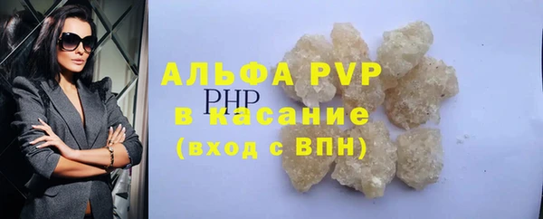 стаф Коряжма