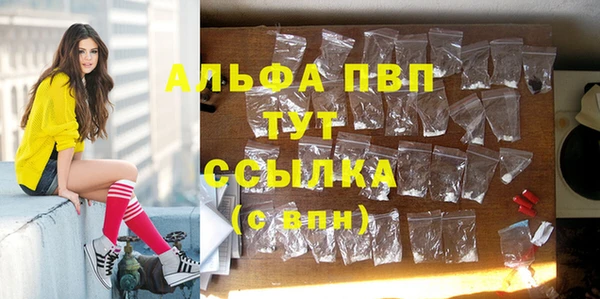 стаф Коряжма