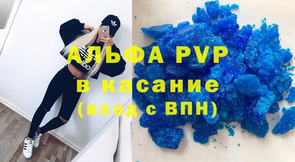 стаф Коряжма