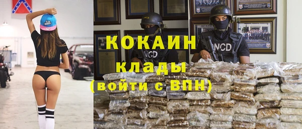 прущие крисы Костерёво
