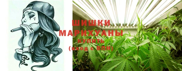 стаф Коряжма