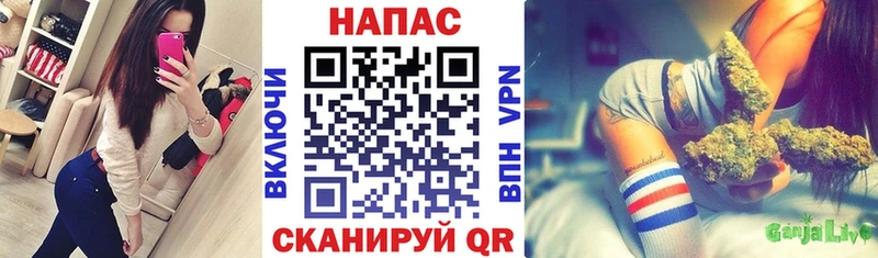 Купить закладки  Тосно  МАРИХУАНА сатива 